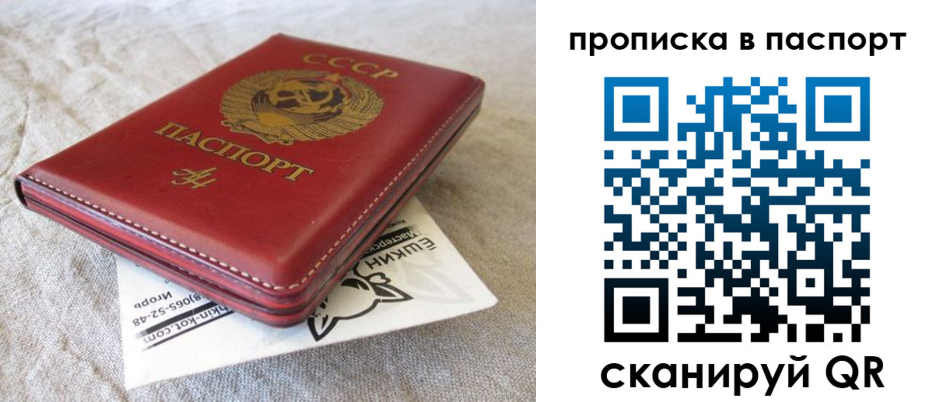 прописка штамп в Зеленоградске